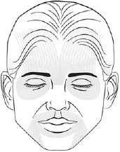 Face Diagram